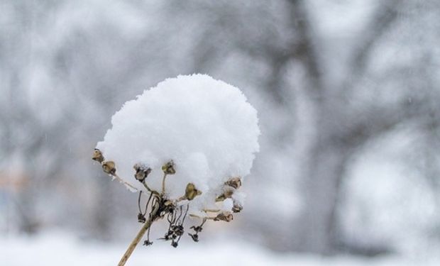 ¿Nieve en Buenos Aires? Qué condiciones se tienen que dar y qué se espera del clima