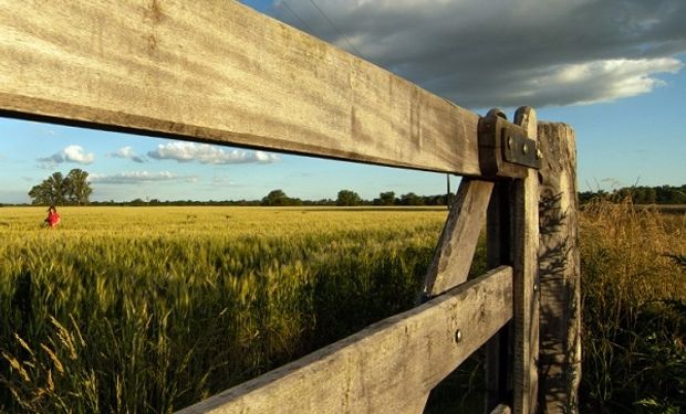 Se convalida una Niña moderada y la fase fría se mantendrá en el primer trimestre del año