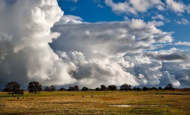 Alivio climático: qué se sabe del Niño "fuerte", cuándo se va a sentir más y cómo va a impactar en la soja y el maíz de Argentina