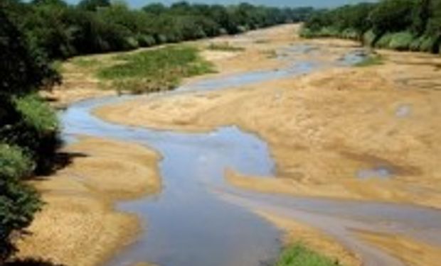 "Os alertas antecipados (pelo mundo) implicam a necessidade de tomar medidas preventivas e preventivas", diz FAO.  (foto - FAO)