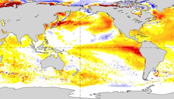 ¿El Niño Modoki? Qué significa esta variante climática que podría beneficiar al campo argentino