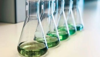 Inovação e sustentabilidade descarbonizam produção de alimentos