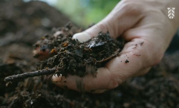 Corteva ofrece un producto para que la planta tenga acceso al nitrógeno durante toda la campaña