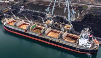 La desaceleración de la demanda china limita las posibilidades de suba de la soja