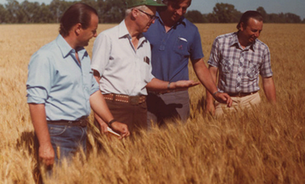 A 110 años del nacimiento de Norman Borlaug: las visitas a la Argentina del padre de la agricultura moderna y el aporte clave que hizo
