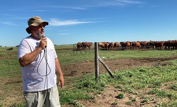 En El Venado, producen sin agroquímicos y "sin créditos" sobre 670 hectáreas: "Requiere estar más encima y más personal"