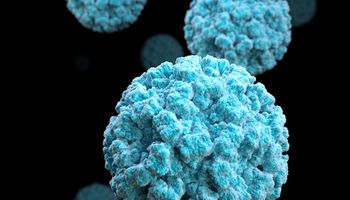 Norovirus: qué es y cuáles son los síntomas en medio de un nuevo brote