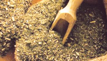 Advierten que el kilo de yerba llegará a $ 32