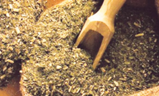 Advierten que el kilo de yerba llegará a $ 32