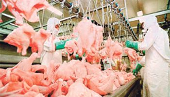 Buscan reactivar exportación de carne a Canadá