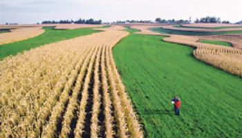 Las materias primas agrícolas registran bajas considerables