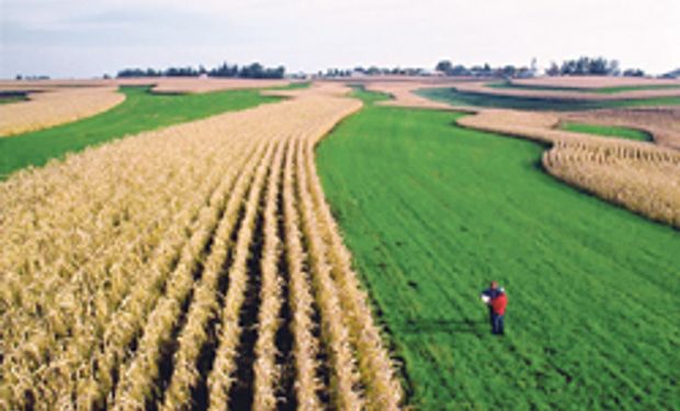 Las materias primas agrícolas registran bajas considerables
