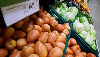 Gobierno confirma que abrirá importaciones de alimentos
