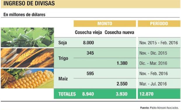 Gobierno no logra ver el elefante que se pasea enfrente.