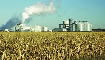 Producción de etanol subirá 40% este año