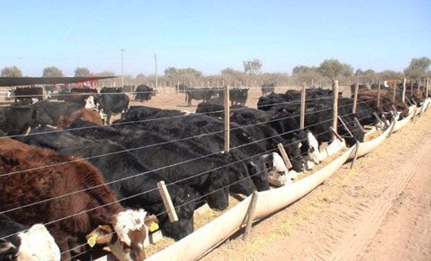 Esperan revertir baja ocupación de corrales