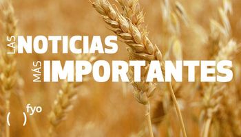 Temas del día: trigo, buen tiempo, exportaciones, cosecha, menos dólares