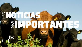 Temas del día: ganadería, clima seco, apuestas bajistas en soja, implantación de trigo, ley de abastecimiento, buitres