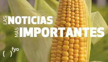 Temas del día: apuesta alcista en maíz, empresa estatal de granos, menos soja, precipitaciones