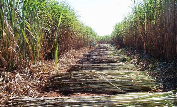 Novas tecnologias podem até negativar a pegada de carbono do etanol brasileiro