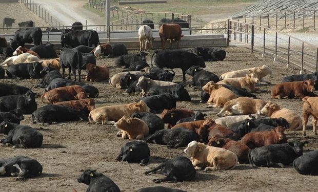 Destacan la importancia del control de las enfermedades respiratorias. Foto: LA NACION