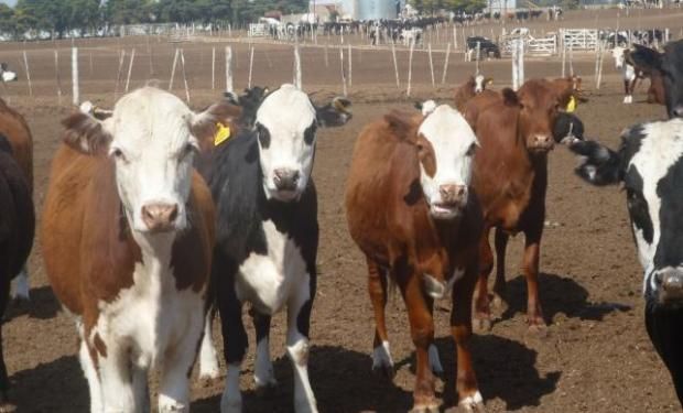 La brecha entre las plazas uruguaya y paraguaya aumentó al 18%.