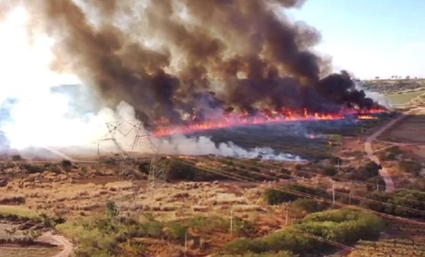 Governo de SP fala em situação preocupante e faz alerta máximo para novos incêndios