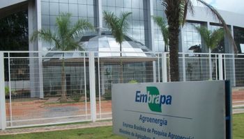 Embrapa recebe R$ 105,5 milhões de recursos do Novo PAC