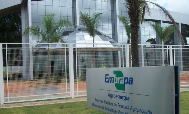 Embrapa recebe R$ 105,5 milhões de recursos do Novo PAC