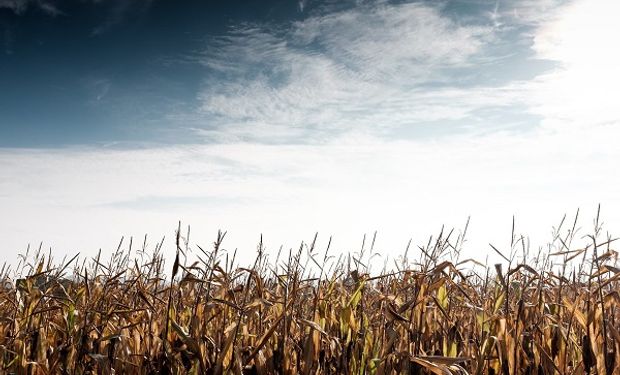 Se afianza la cobertura nubosa y comenzará un aumento de las temperturas