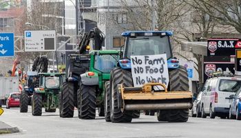 Productores de Nueva Zelanda protestan contra el impuesto que quieren aplicar al sector ganadero