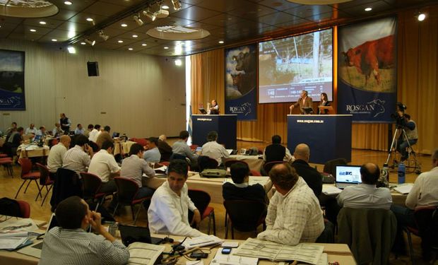 Desde Rosgan confían en que el aporte de las nuevas autoridades será una inigualable contribución al crecimiento y la solidez del mercado. Foto de archivo.