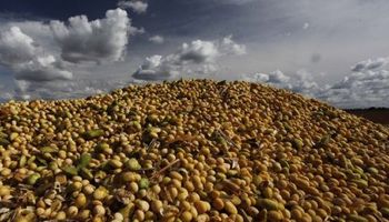 Nuevas bajas para la soja