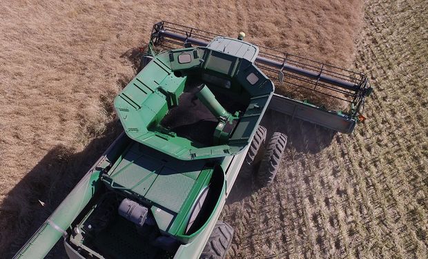 Ambas compañías tienen un foco específico en el potencial único del Sorgo, Girasol y Canola