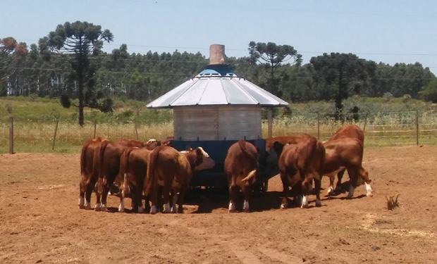 Se acerca una nueva edición del Congreso de Nutrición Animal