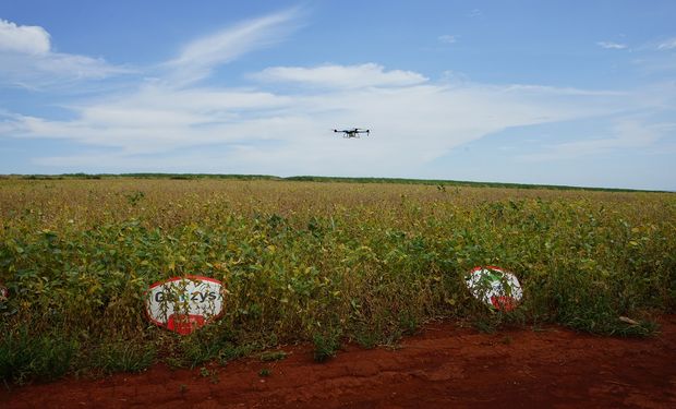 Uso de drones elimina perdas por amassamento de soja