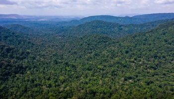 O que é o Acordo de Paris e por que ele será o centro da COP30 em Belém