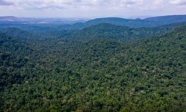 O que é o Acordo de Paris e por que ele será o centro da COP30 em Belém