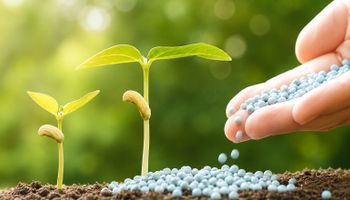 O que o público urbano ainda não entende sobre fertilizantes