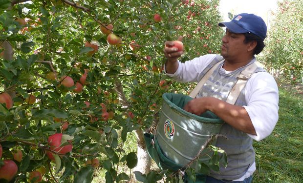 La manzana roja casi duplicó su brecha al subir de 8,1 veces en noviembre a 16 veces en diciembre.