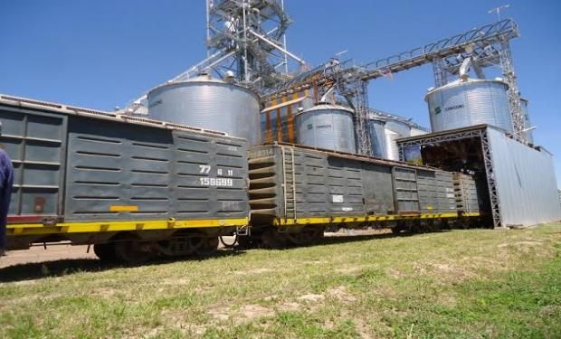 El transporte de los granos en ferrocarril es fundamental para abaratar los costos logísticos a largas distancias de los puertos.