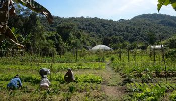 Áreas sobrepostas em imóveis rurais no Brasil ultrapassam 51 mi de hectares 