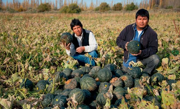 Objetivo: potenciar la diversificación productiva e industrialización a nivel local, regional y nacional.
