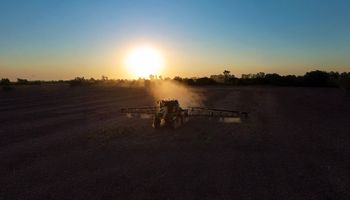 ¿Se pueden ahorrar US$ 30.000 con una máquina en el campo? Lo lograron con inteligencia artificial, Starlink y cámaras