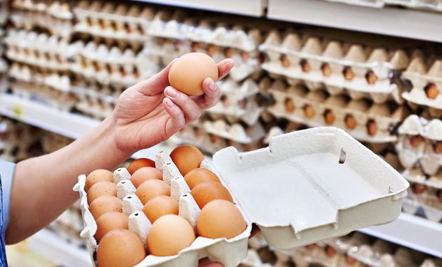 Se consumieron 336 huevos por persona en 2023 y creció un 4,35 % en un año complejo para el sector avícola