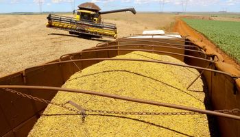 Oferta global recorde derruba preços da soja no Brasil e no mundo em 2025