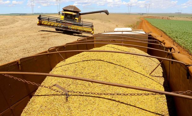 (Foto: Jaelson Lucas / Arquivo AEN)