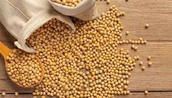 Safra cheia derruba preços e aquece mercado da soja