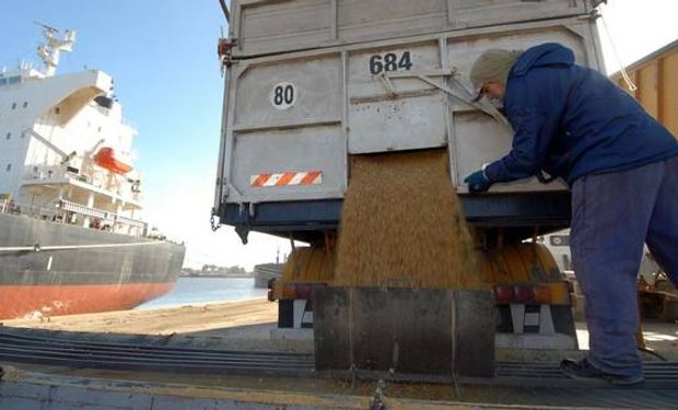 La soja argentina aumentaría la competencia en el mercado mundial.