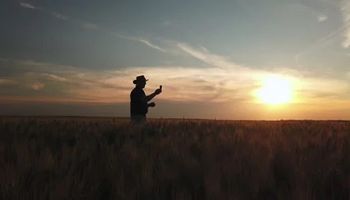 Los siete gráficos que explican la oferta y demanda de soja, trigo y maíz